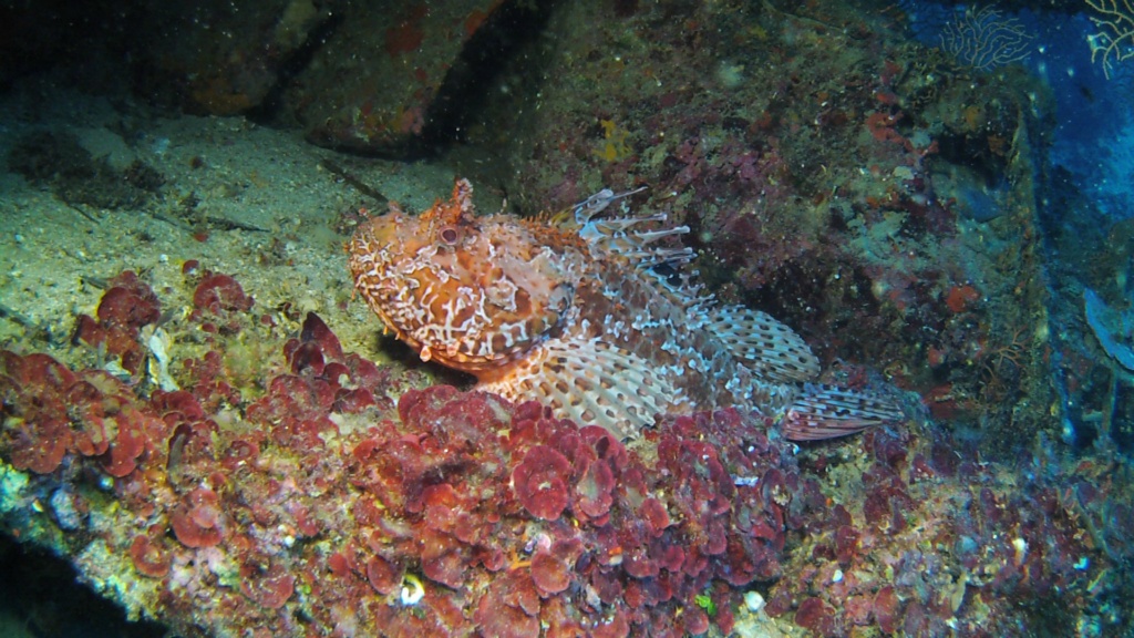 Foto Carlo Piazza